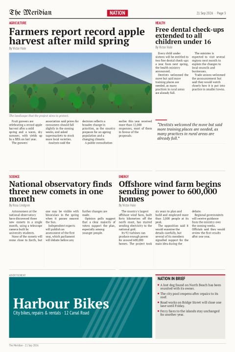 Page 3