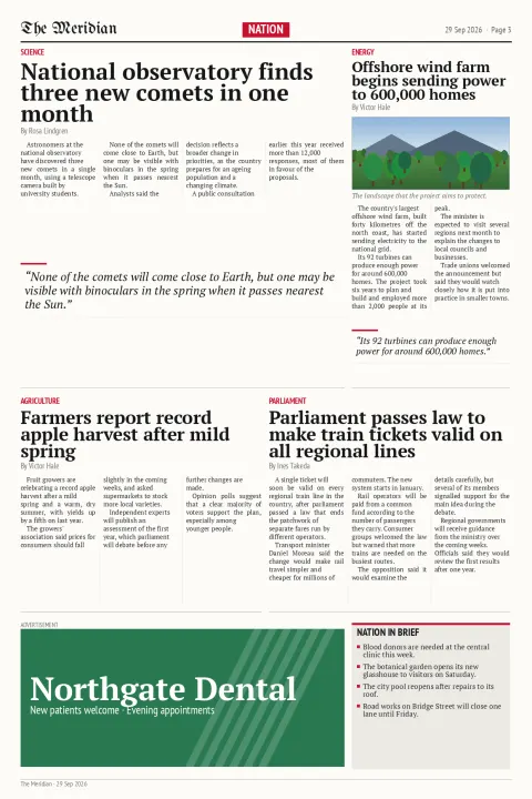 Page 3