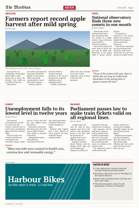 Page 3